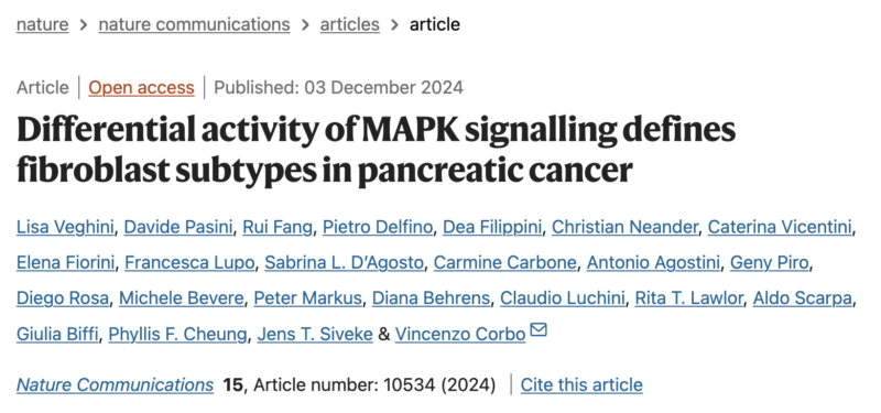 Vincenzo Corbo: MAPKhigh myCAF phenotype linked to immunotherapy resistance